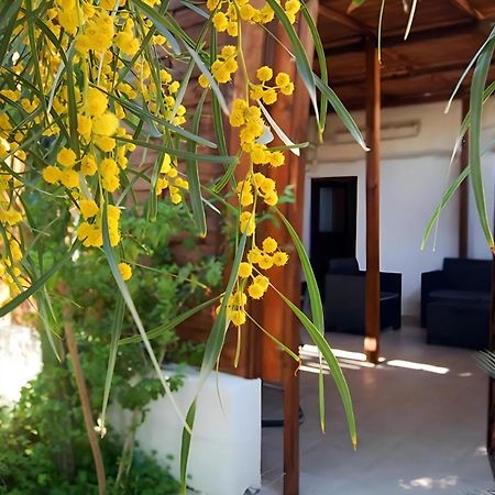 Sea Breeze Villa - Sole Apartment Bari Zewnętrze zdjęcie